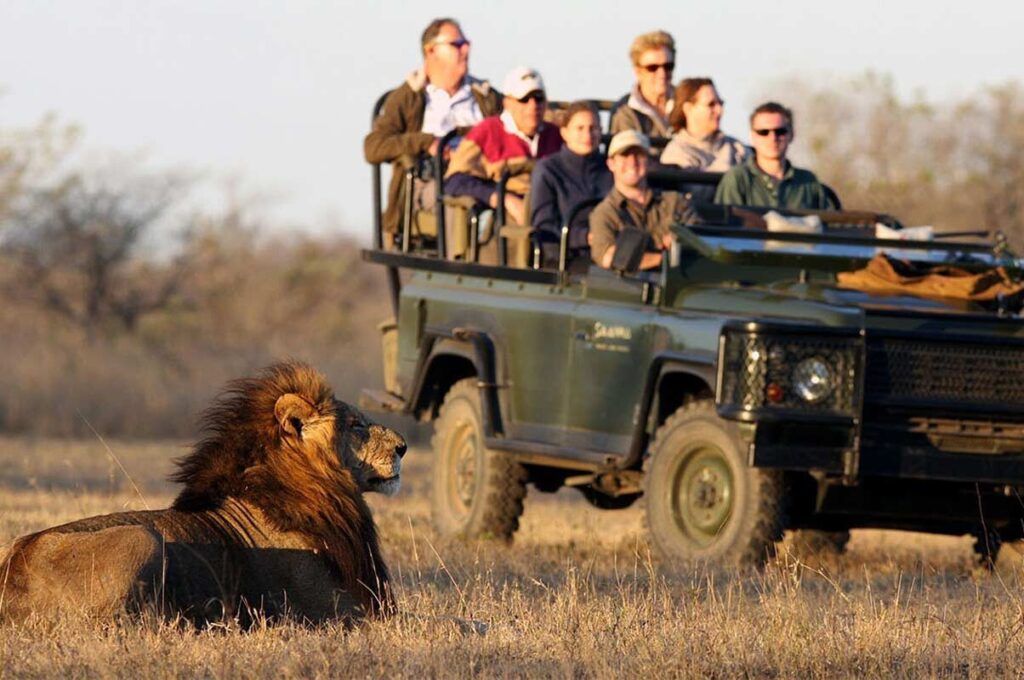 Unforgettable Safari Guide to Africa